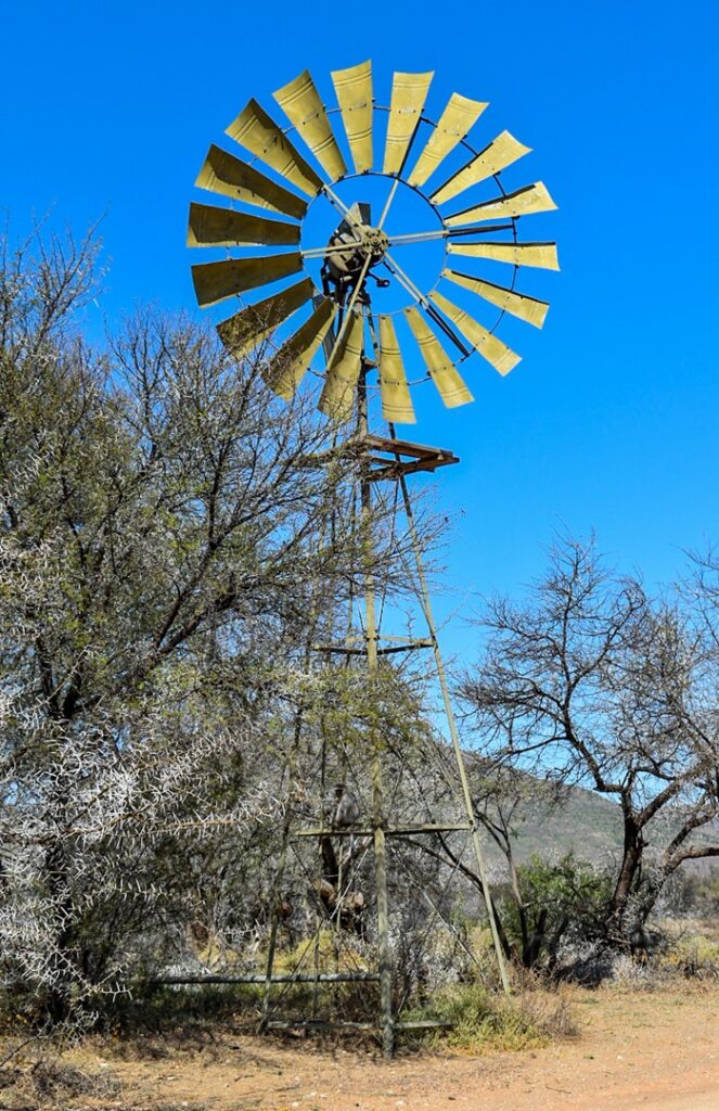 Karoo windmill with a monkey (can you spot him?)