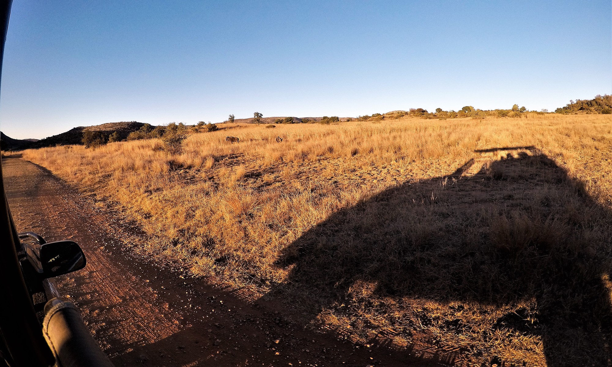 Announcing 2024 Knitting Retreats and Tours in South Africa Threaded