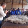 Winter Wool Festival workshop demonstrating sheep sheering and qualities of wool at the source of the supply chain.