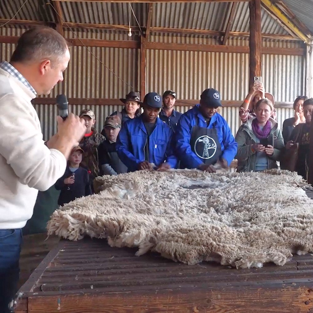 Knitting tour in South Africa — Winter Wool Festival and Safari