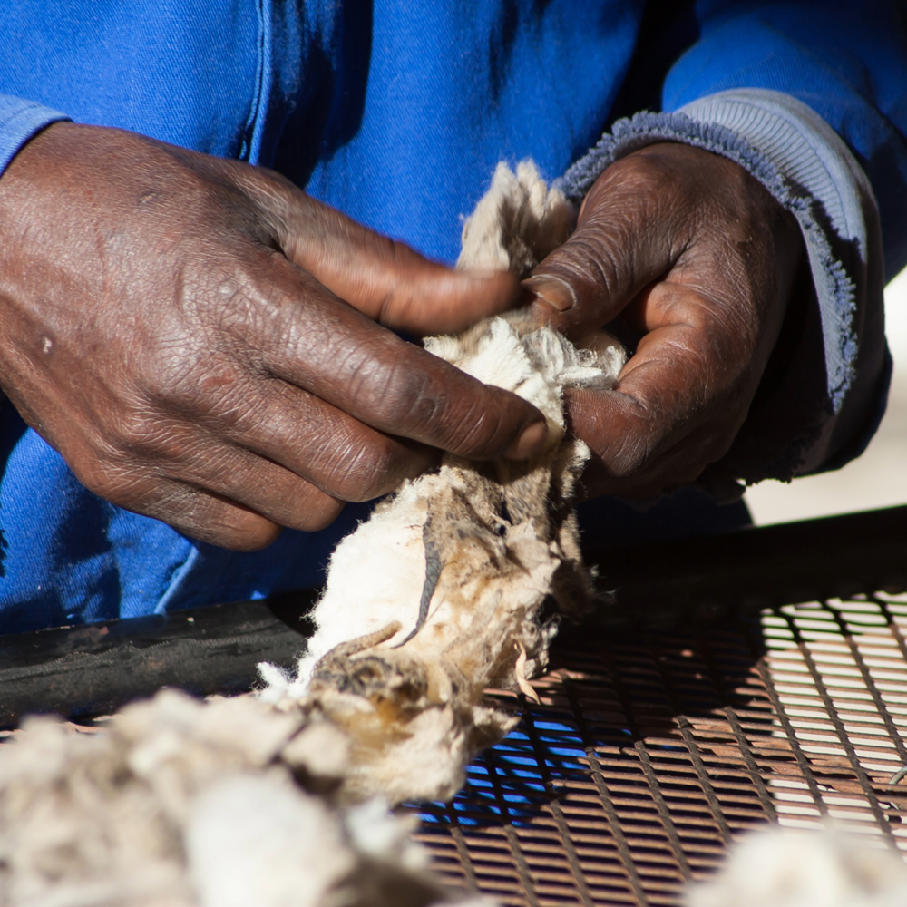 Winter Wool Festival workshop providing direct access to South African laborers.