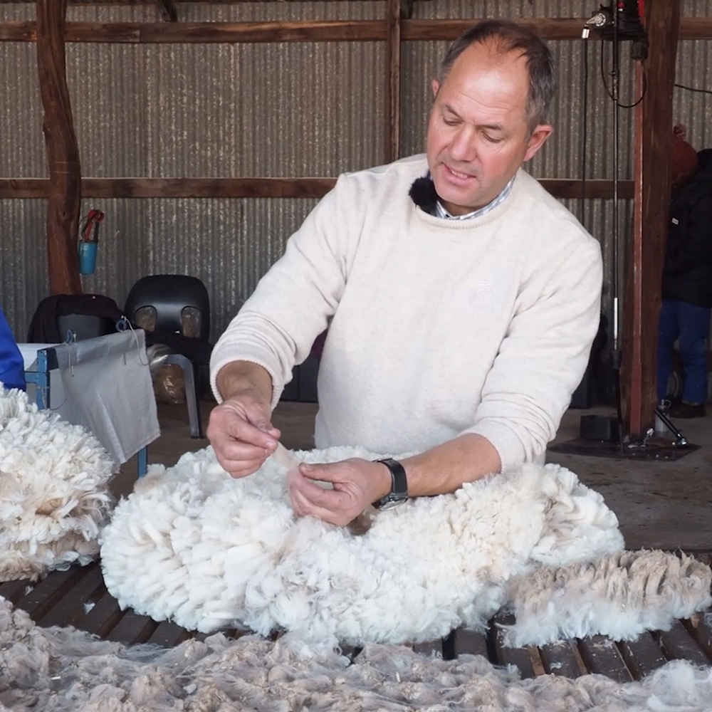 Winter Wool Festival workshop demonstrating sheep sheering and qualities of wool at the source of the supply chain.