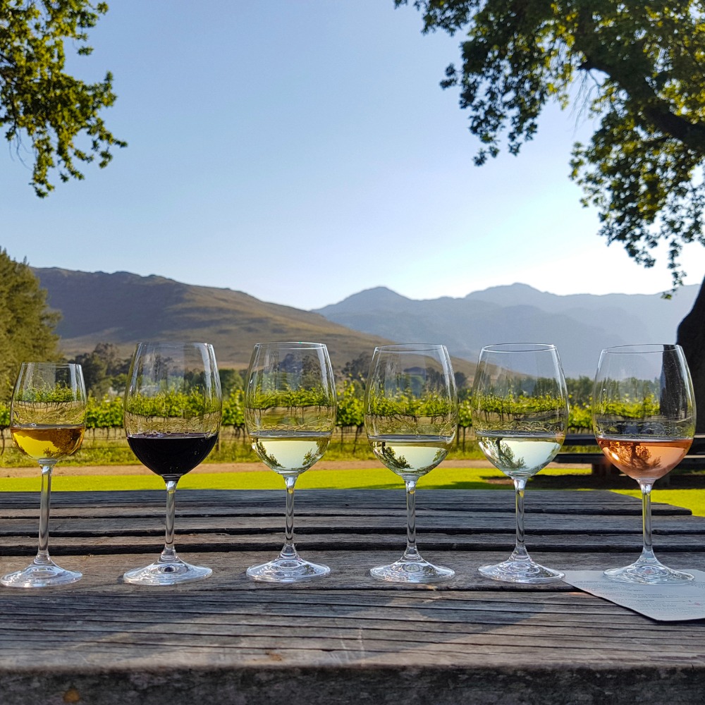 Wine tasting in Stellenbosch which produces some of the best wine in the world.