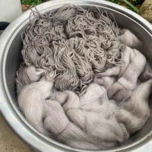 Botanical Dyeing and Eco-Printing workshop