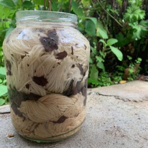 Botanical Dyeing and Eco-Printing workshop