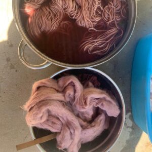 Botanical Dyeing and Eco-Printing workshop