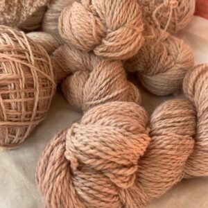 Botanical Dyeing and Eco-Printing workshop