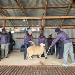 Winter Wool Festival provides direct access to South African wool experts.